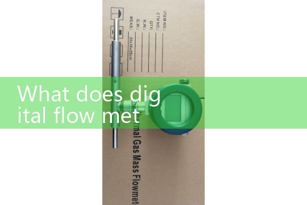 digital flow meter
